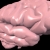 Animated Pink Brain Spinning Loopable Through