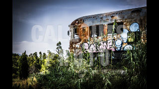 Deserted Train in the Middle of Nature 02