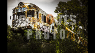 Deserted Train in the Middle of Nature 03