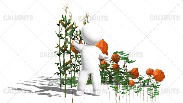 3D Guy Standing in Field of Corns and Pumpkin Plants White Background