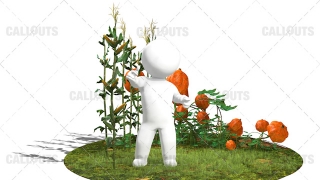 3D Guy Standing in Field of Corns and Pumpkin Plants on Round Area White Background