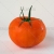 Washed Tomato on White Background