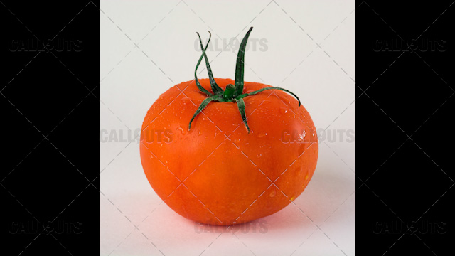 Washed Tomato on White Background