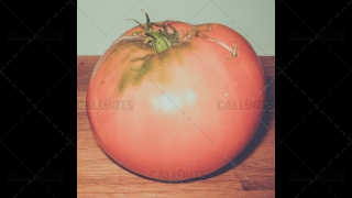 Huge Tomato on Table Vintage Style
