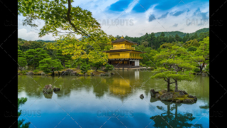 Wider shot of The Golden Pavilion, Kinkaku-ji, a Zen Buddhist temple, Kyoto, Japan