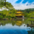 Wider shot of The Golden Pavilion, Kinkaku-ji, a Zen Buddhist temple, Kyoto, Japan