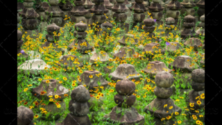 Japanese temple stone pagodas among flowers