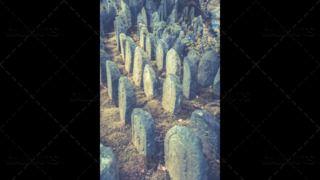 Japanese temple headstones and blue flowers