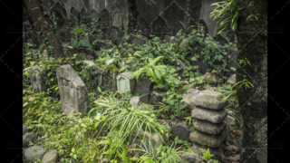 Japanese temple headstones in garden