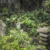 Japanese temple headstones in garden