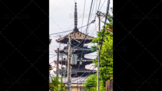 Buddhist temple behind electricity poles
