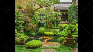 Japanese green garden with pond