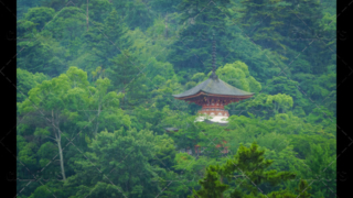 Japanese Buddhism temple in forest in rain