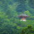 Japanese Buddhism temple in forest in rain