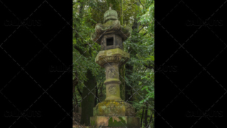 Japanese stone temple lantern, Tōrō, in forest. Kyoto, Japan.