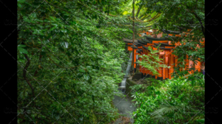 Japanese stone temple lantern, Tōrō, in forest. Kyoto, Japan.Fushimi Inari-taisha shrine in forest, Orange pillars. Kyoto, Japan.