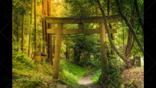 Fushimi Inari-taisha shrine, pillars in magical forest. Kyoto, Japan.