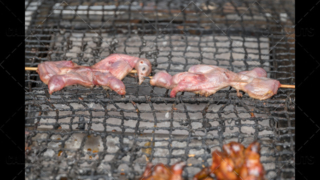 Traditional bird BBQ on street food stand in Kyoto, Japan 01