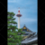 Kyoto tourist attractions. Higashi Hongan-ji Temple roof with Kyoto Tower in the background 02.