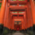 Fushimi Inari-taisha shrine in forest, Orange pillars. Kyoto, Japan.