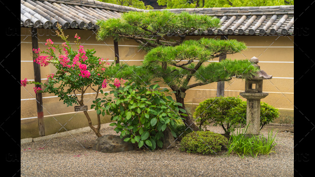 Temple park, Kyoto, Japan.