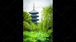 Japanese Buddhist  temple park with a pagoda visible in the background.