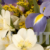 Bouquet of Mixed White and Purple Lilies and Small Yellow Flowers. Slow Pan Down. White Background.