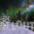 Winter Wonderland Aurora Zoom In on Deers Animation