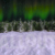 Winter Wonderland Aurora Pan Left Animation