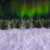 Winter Wonderland Aurora Pan Right with Snow Animation