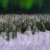 Winter Wonderland Aurora Pan Up with Snow Animation