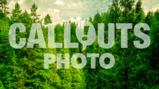 Green forest and cloudy sky