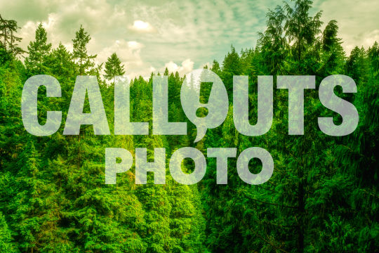 Green forest and cloudy sky