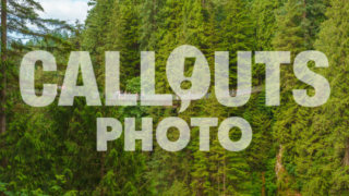 Capilano Suspension Bridge with tourists in Capilano Park