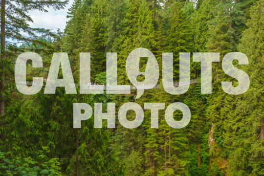 Capilano Suspension Bridge with tourists in Capilano Park