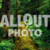 Fallen Douglas Fir tree with moss, Cathedral Grove