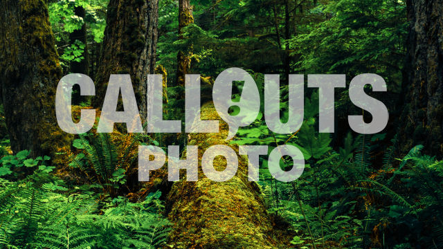 Fallen Douglas Fir tree with moss, Cathedral Grove