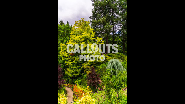 Famous lush Canadian garden, Butchart Gardens