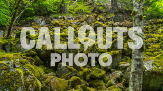 Moss covered stones in magical forest 01