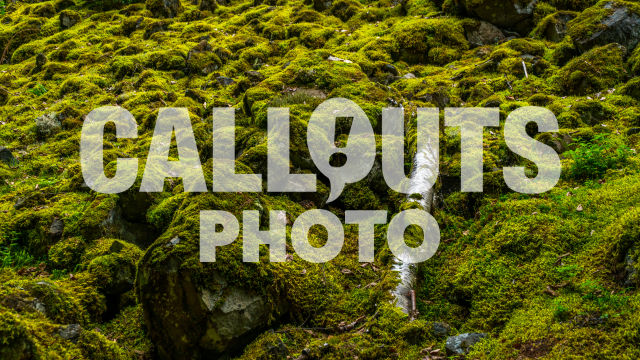 Moss covered stones in magical forest 02