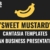 Camtasia “Sweet Mustard” Clean Business Presentation Templates