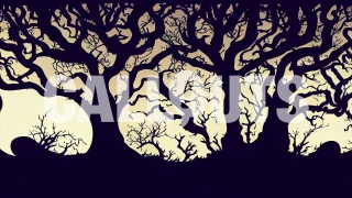 Halloween Background Graphic Dark Forest 2