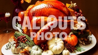 Glorious Thanksgiving Day Turkey Plate