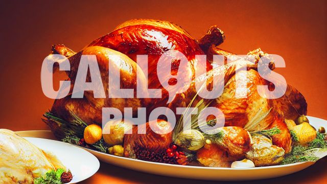 Glorious Thanksgiving Day Turkey Plate 02