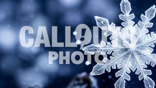 Winter Photo Snowflake Closeup