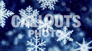 Winter Photo Snowflake Closeup 2