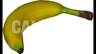 Banana 3D Prop Food-theme