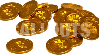 Coins 3D Prop Money-theme