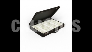 Money Briefcase with Shadow 3D Prop Money-theme