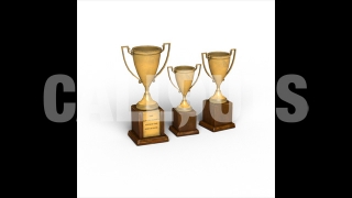 Trophies with Shadow 3D Prop Education/Sports-theme